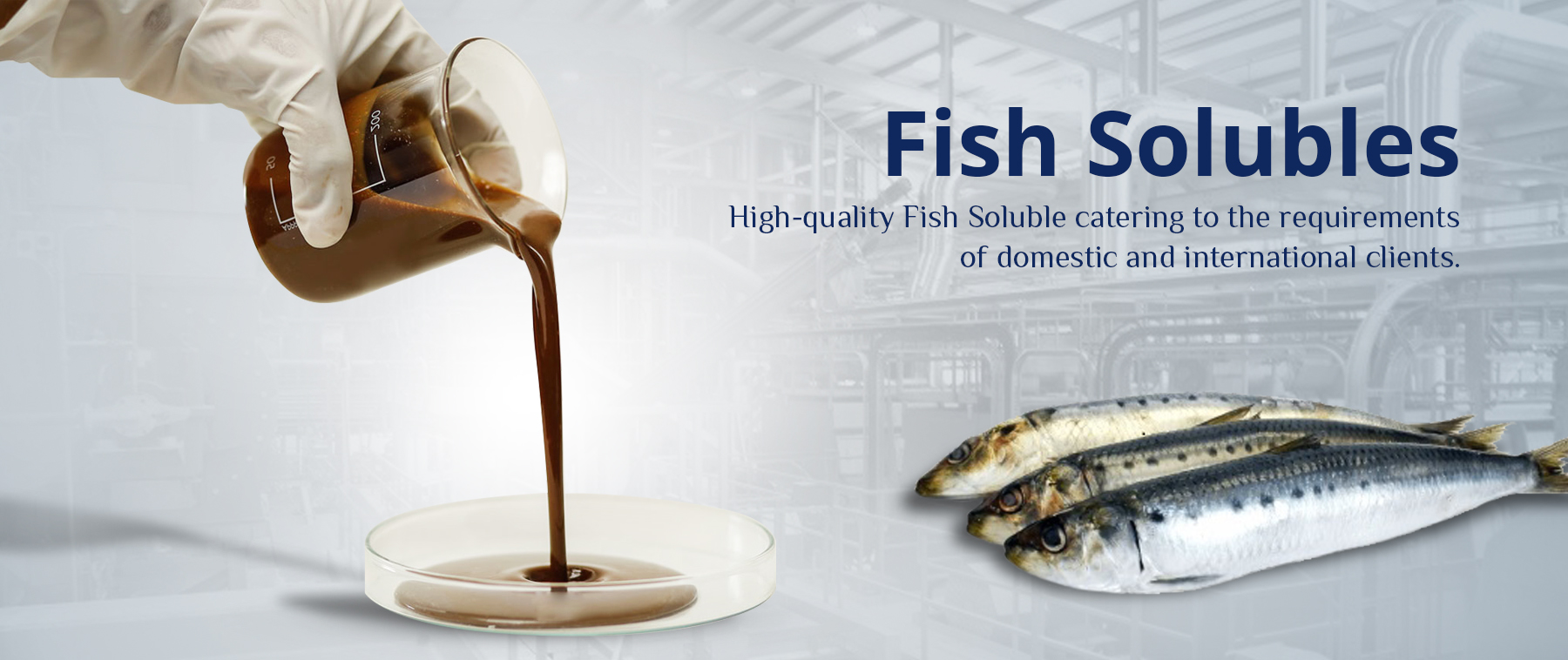 Picture of Fish Oil beingfilled into small glass bottles.